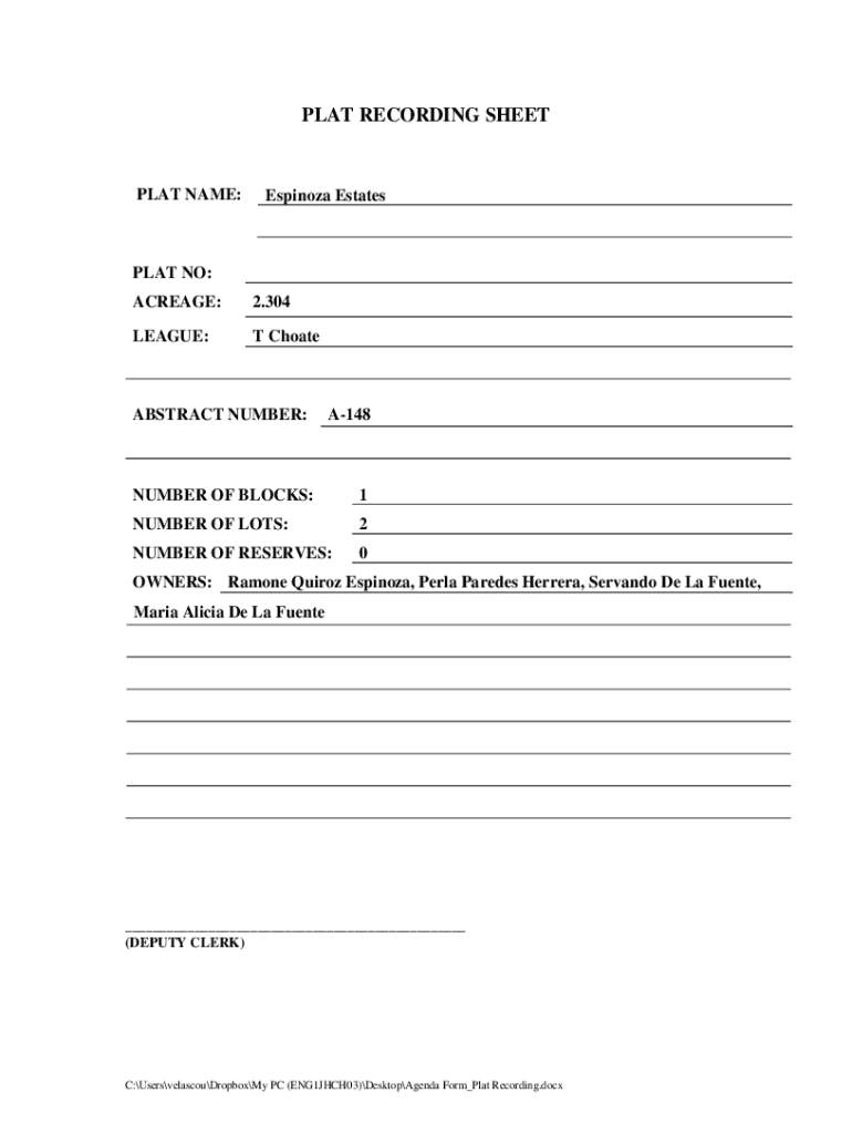 Form preview