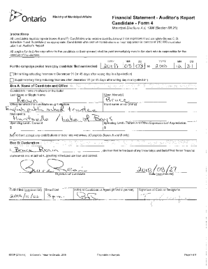 Bruce Reain - 2018 Municipal Election Financial Statement - Auditor's Report Candidate - Form 4. Financial Statement, 2018