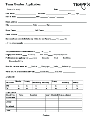 Form preview