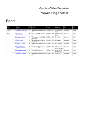 Peewee Flag Football