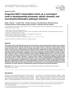 Identification of the NAC Transcription Factors and Their ...