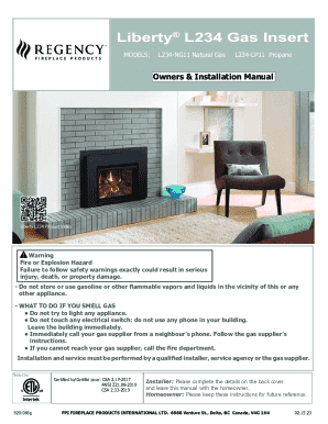 L234 Small Radiant Gas Fireplace Insert