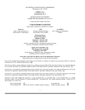 FORM S-1/A2 Amended Registration Statement