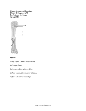Human Anatomy &amp; Physiology, 8e (Marieb/Hoehn). Chapter 6