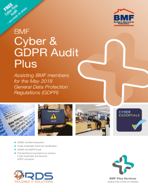 Cyber &amp; GDPR Audit Plus