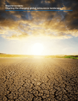 Beyond borders: charting the changing global reinsurance ...