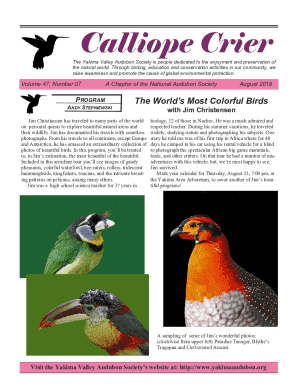 The World of Birding: A Pathway to the Nature We Lack