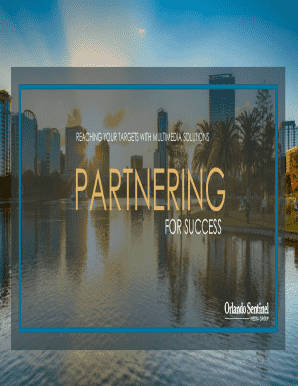 Orlando Sentinel Digital Media Kit for B2B Site