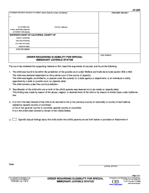 Order Regarding Eligibility for Special Immigrant Juvenile Status