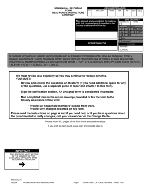 Pennsylvania Semi-Annual Reporting Form