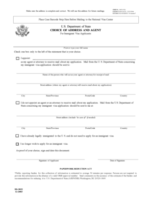 US Department of State DS-3032 Form