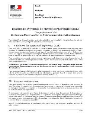 DOSSIER DE SYNTHÈSE DE PRATIQUE PROFESSIONNELLE