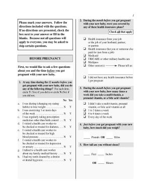 Pregnancy Health Survey Form