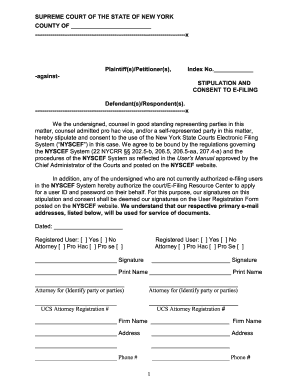 Stipulation and Consent to E-Filing