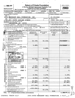 Form 990-PF 2003