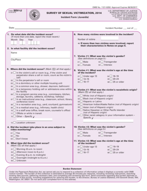 US Justice Department Sexual Victimization Incident Form