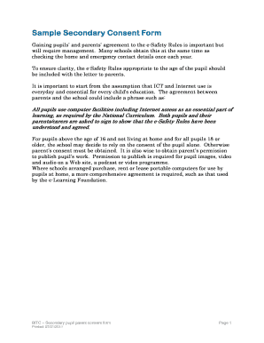 Secondary School E-Safety Rules Consent Form