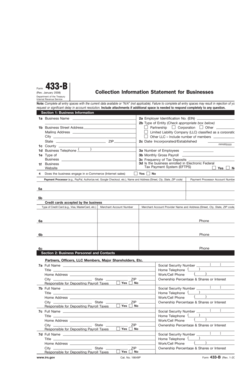 IRS Form 433-B Collection Information Statement for Businesses