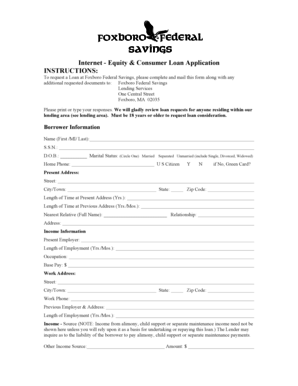 Equity & Consumer Loan Application