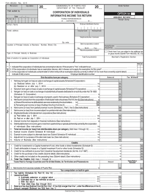 Puerto Rico Informative Income Tax Return Form 480.20(I)