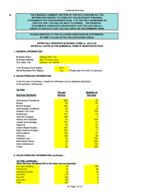 Business Financial Summary Form