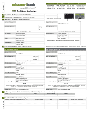 VISA Credit Card Application