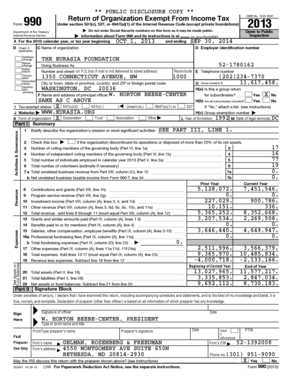 Form 990 2013 Tax Return