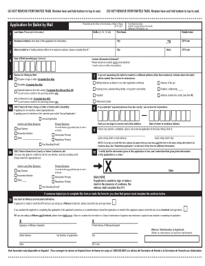 Texas Ballot by Mail Application