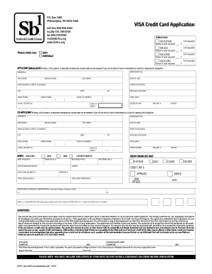 VISA Credit Card Application