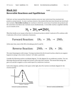 Chemistry Worksheet Reversible Reactions and Equilibrium