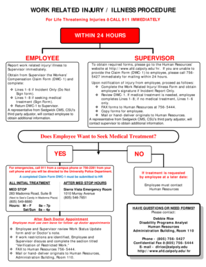Work Related Injury Illness Form