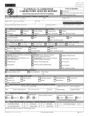 National Clandestine Laboratory Seizure Report