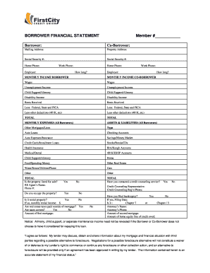 Borrower Financial Statement