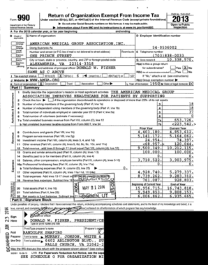 IRS Form 990 2013
