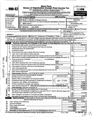 Form 990-EZ 2009