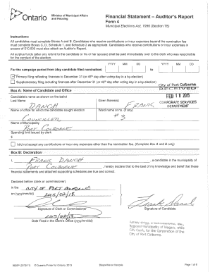 Ontario Municipal Election Financial Statement