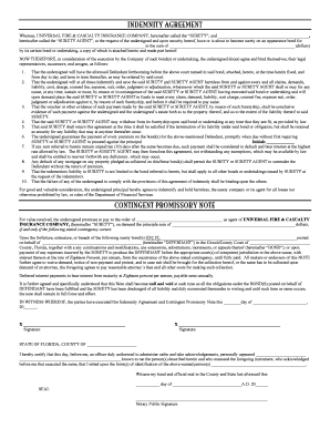 Indemnity Agreement and Contingent Promissory Note