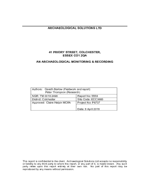 ARCHAEOLOGICAL SOLUTIONS LTD 41 PRIORY STREET ...
