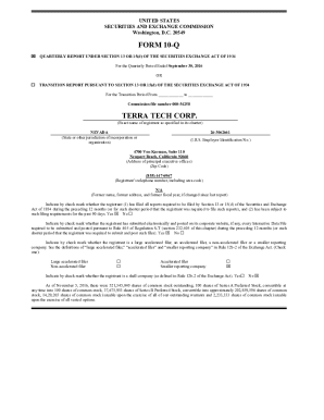 As of November 5, 2016, there were 521,345,040 shares of common stock outstanding, 100 shares of Series A Preferred Stock, convertible at