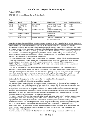 End of AY 2017 Report for SIP