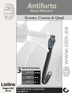 Scooter, Custom & Quad