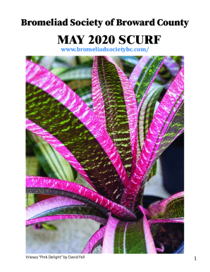 Vriesea Pink Delight by David Fell