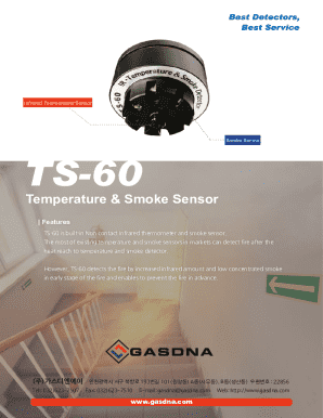 Non contact Temperature + Smoke Detector TS-60 ...