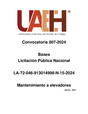 Oficiala mayor.resumen de convocatoria 019.