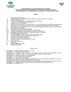 Descripcin de la prestacin del servicio objeto de esta licitacin