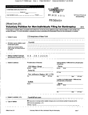Voluntary Petition for Non-individuals Filing for Bankruptcy