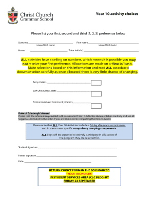Form preview