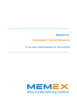 Memex Inc. Consolidated Financial Statements
