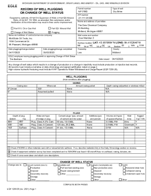 Record of Well Plugging or Change of Well Status