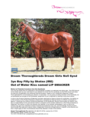 Buy a Share in Race Horse Brisbane